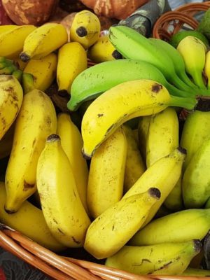 agricultores-de-criciuma-podem-pedir-mudas-gratuitas-de-banana-ate-agosto