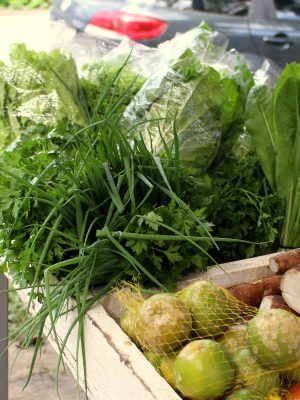 secretaria_da_agricultura_incentiva_investimentos_na_producao_de_organicos_20180226_1913234957
