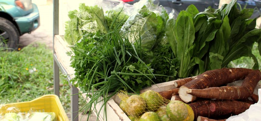 secretaria_da_agricultura_incentiva_investimentos_na_producao_de_organicos_20180226_1913234957