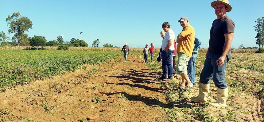 maracaja-dia-de-campo-batata-doce-1