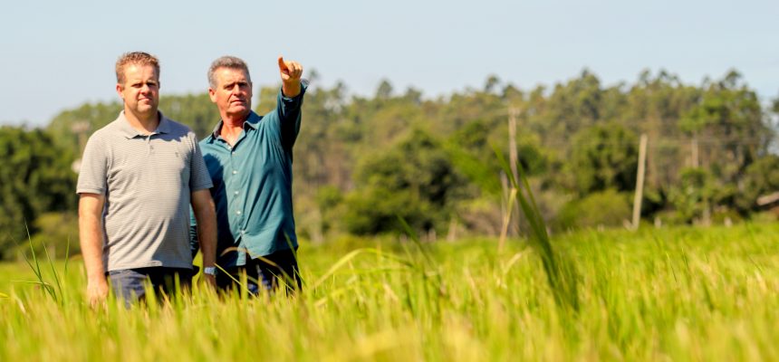 arranjo-produtivo-do-arroz-irrigado-tambem-integra-a-pauta-do-evento