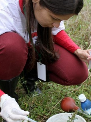 dengue-vigilancia-epidemiologica-1