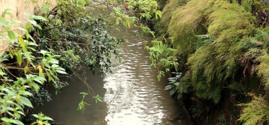 famcri-e-unesc-avancam-no-projeto-de-monitoramento-ambiental-do-rio-criciuma-foto-arquivo-decom-2