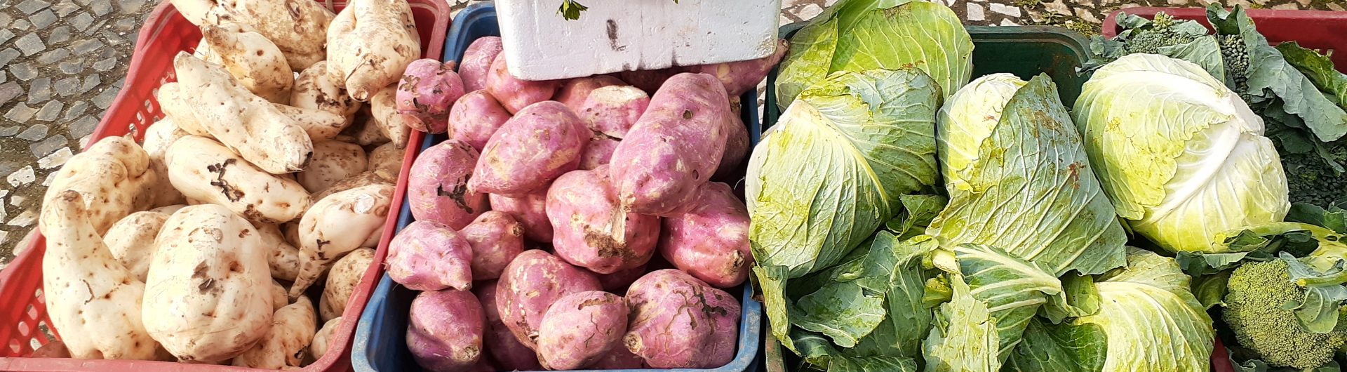 criciuma-aumentara-consumo-da-agricultura-familiar-foto-de-arquivo-decom
