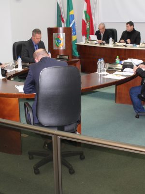 plenario-1