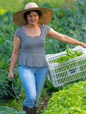 jovens_e_mulheres_terao_prioridade_na_liberacao_de_recursos_dos_programas_da_agricultura_20190806_1542842396-1