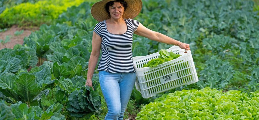 jovens_e_mulheres_terao_prioridade_na_liberacao_de_recursos_dos_programas_da_agricultura_20190806_1542842396-1