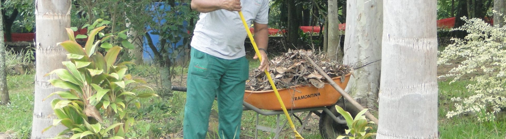 horto-florestal-foto-arquivo-decom-2