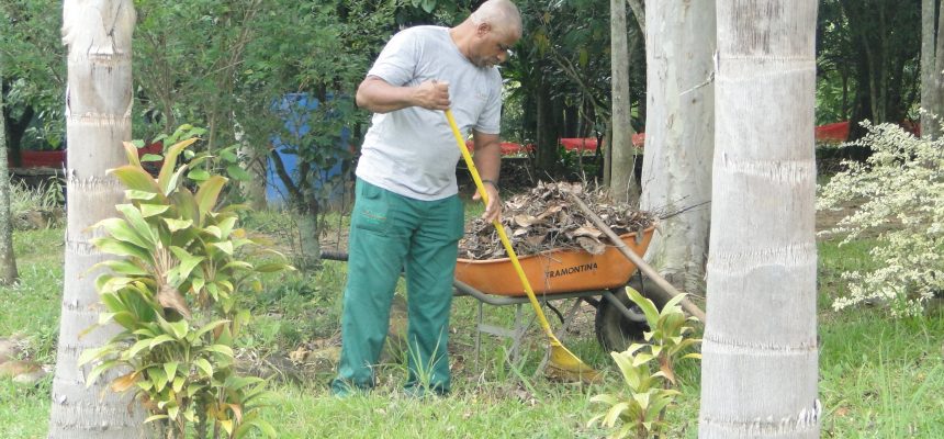 horto-florestal-foto-arquivo-decom-2