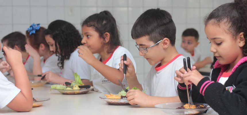 aprender-e-saudavel-foto-lucas-sabino