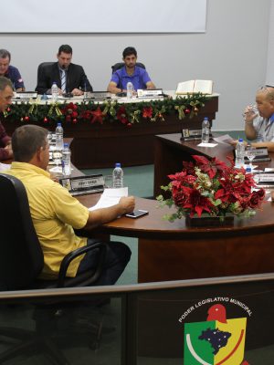 plenario-2