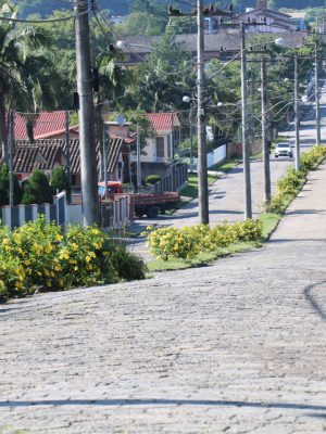avenida-jose-ronchi