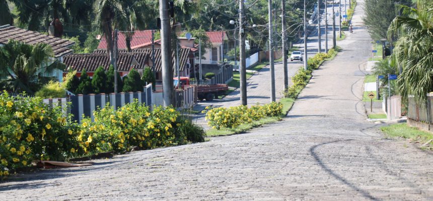 avenida-jose-ronchi