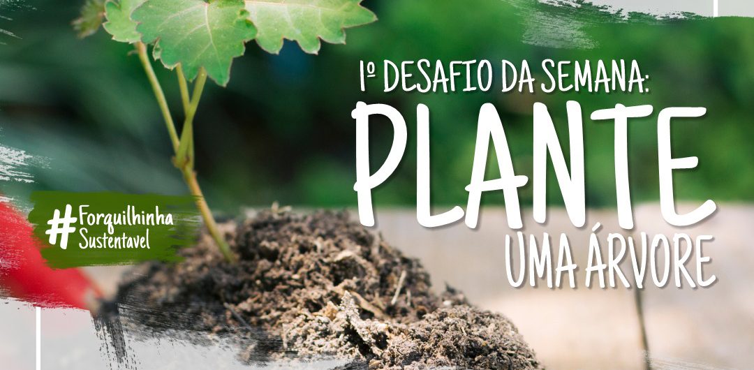desafio-meio-ambiente-forquilhinha