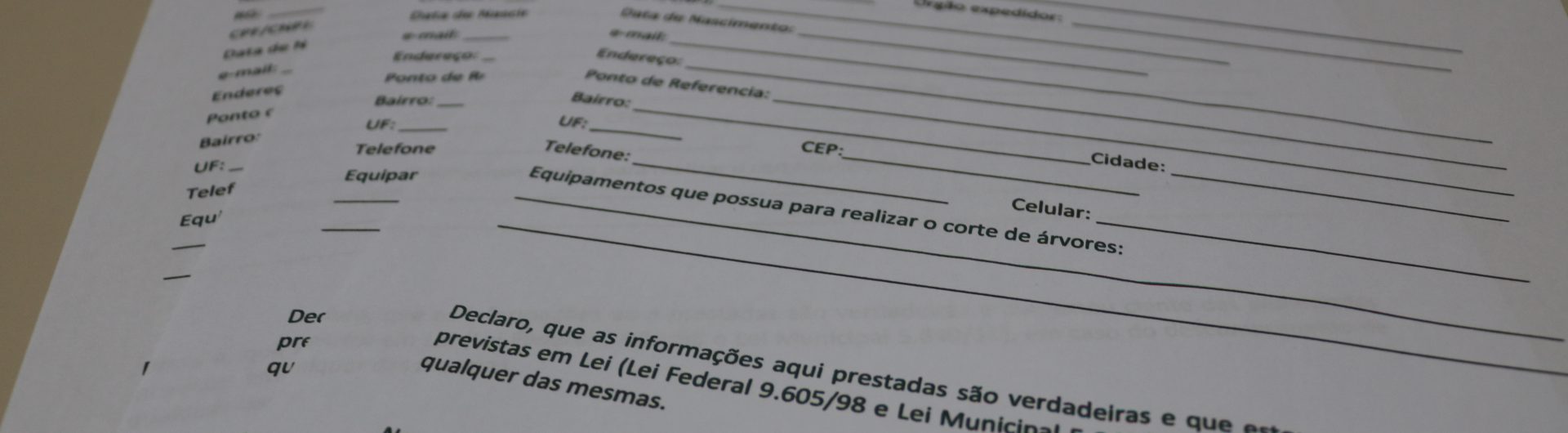 cadastro-corte-e-poda-de-arvores-foto-arquivo-decom