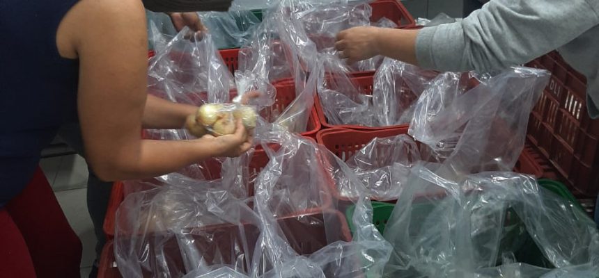 forquilhinha-kits-de-alimentacao-escolar-3