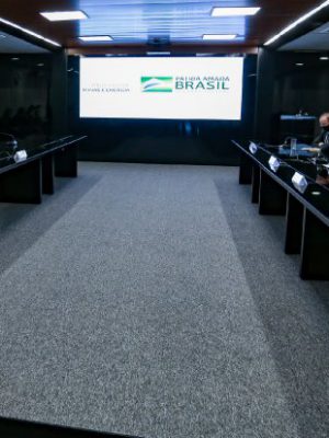 reuniao_brasilia__20210426_1279515899