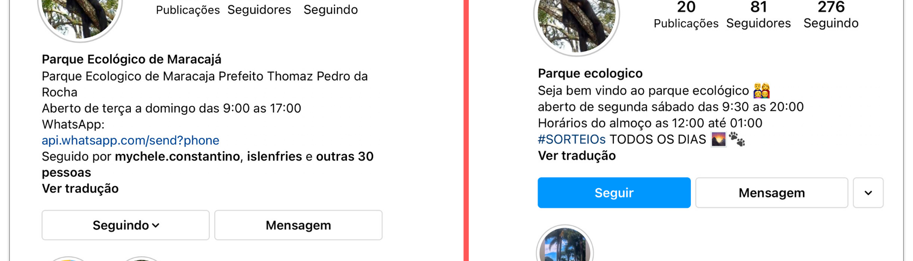 perfil-oficial-x-fake