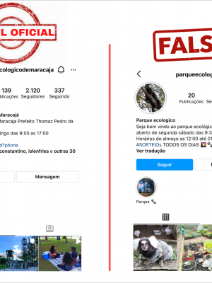 perfil-oficial-x-fake