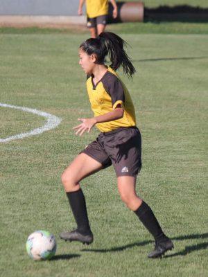 treino-fme-criciuma-ec-arquivo-decom-2