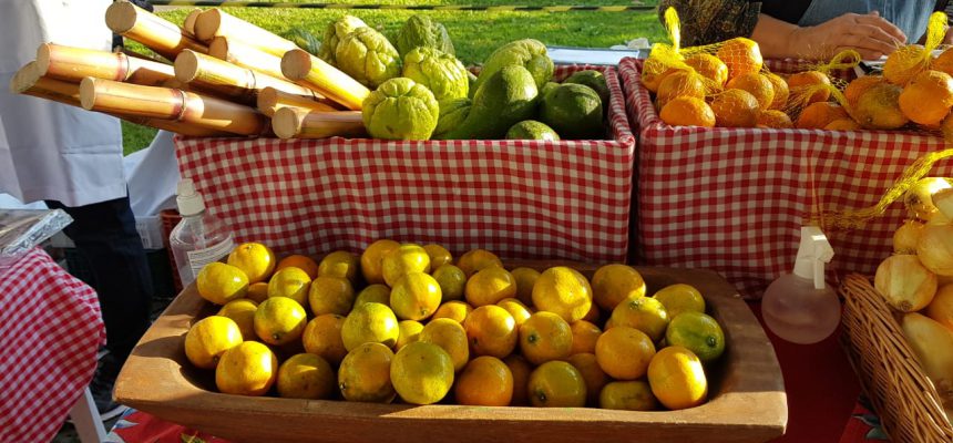 feira-da-agricultura-familiar-08-07-2021-10