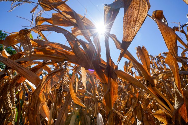 estiagem_chapeco_20220112_1443568062