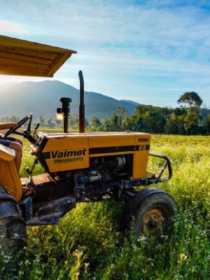 agricultura_agricultor__20210810_1715306889