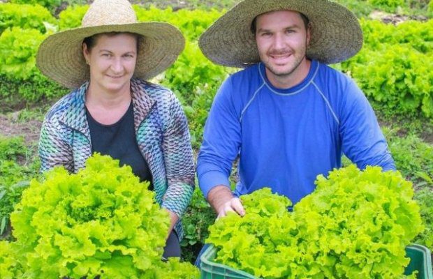 epagri_apresenta_casos_de_sucesso_de_agricultores_que_encontraram_alternativas_ao_cultivo_de_tabaco_20220502_1775585552