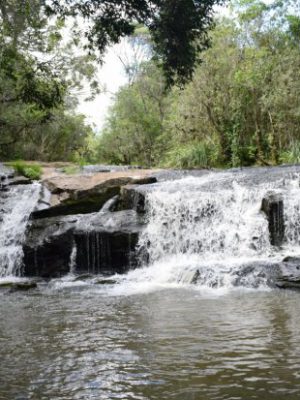 parque_estadual_rio_canoas__20220526_1968350853