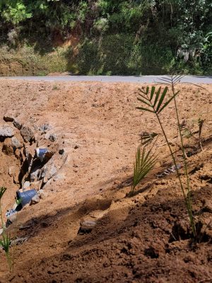 acao-ambiental-dma-serrinha-santana-por-ana-paula-nesi-2