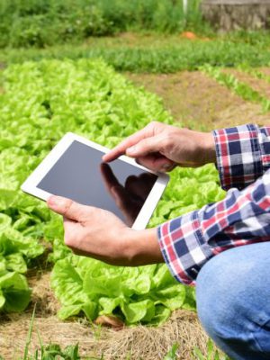 diario-de-campo-tecnologia