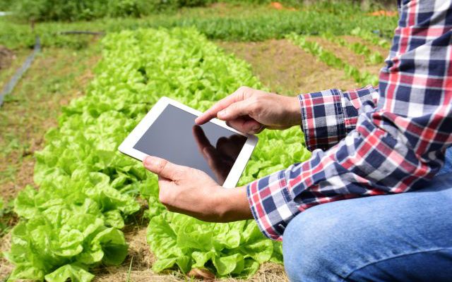 diario-de-campo-tecnologia