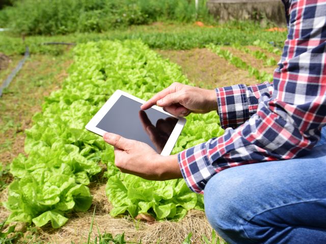 diario-de-campo-tecnologia