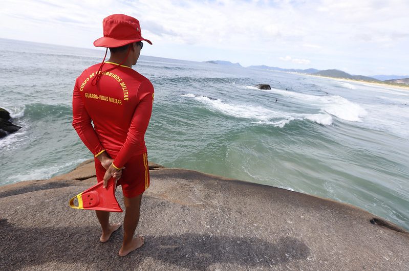 52621288504_b2fa07bd72_c